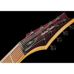Harley Benton R-458FFB Roasted MultiScale