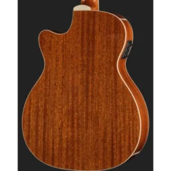 Harley Benton Santos Series C-40SCE NT