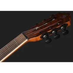 Harley Benton Santos Series C-40SCE NT