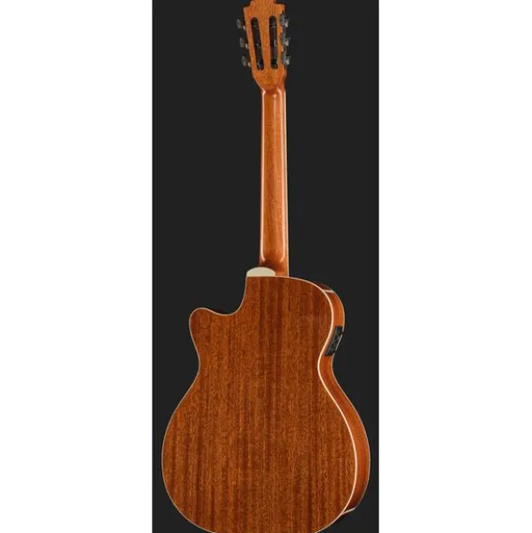 Harley Benton Santos Series C-40SCE NT