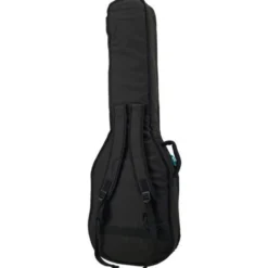 Harley Benton S-620 TB Rock Series w/Bag