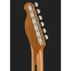 Harley Benton TE-62CC IS