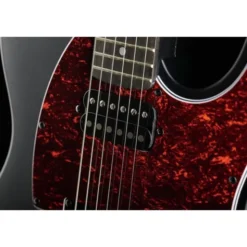 Harley Benton TE-20HH SBK Standard Series