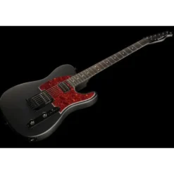Harley Benton TE-20HH SBK Standard Series