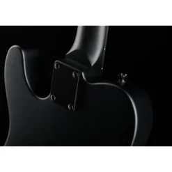 Harley Benton TE-20HH SBK Standard Series