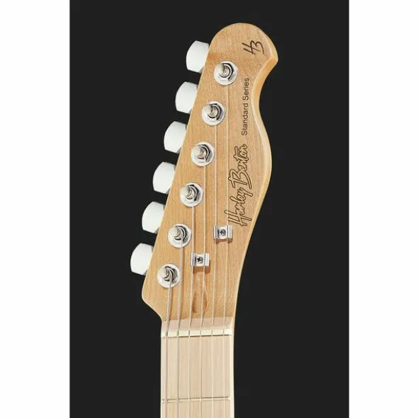 Harley Benton TE-20MN CA Standard Series