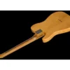 Harley Benton TE-52 NA /Mooer Hornet Set