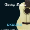 Harley Benton Valuestrings Uke Clear