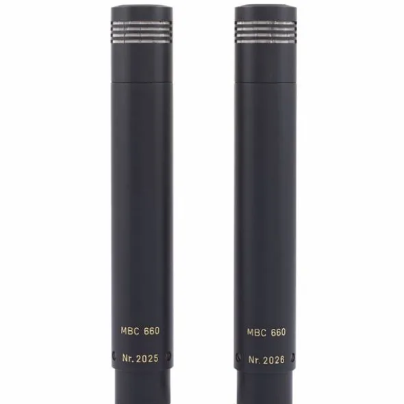 Haun MBC660 L Pair