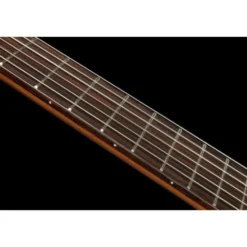 Höfner HF16 Classical