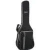 Höfner HF-13-3/4 w/GigBag