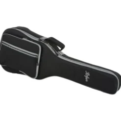 Höfner HF-13-3/4 w/GigBag