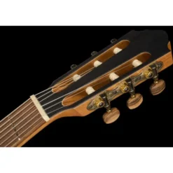 Höfner HML-BGF Limited