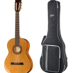 Höfner HZ25 Bundle w/ Gig Bag