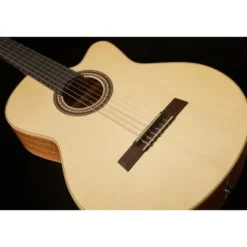 Höfner Meister Series HM65-F-CE