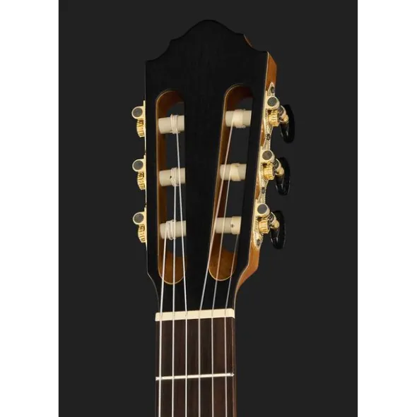 Höfner Meister Series HM65-F-CE