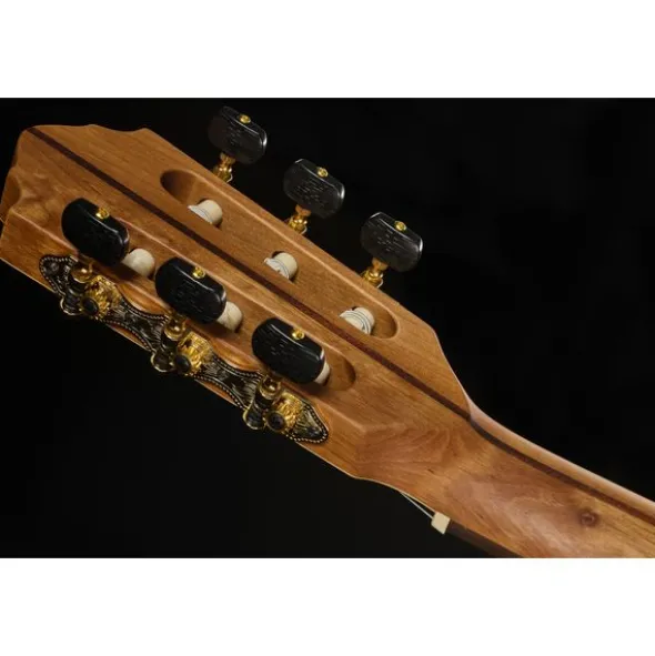 Höfner Meister Series HM65-F-CE