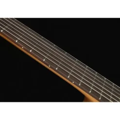 Höfner Meister Series HM65-F-CE