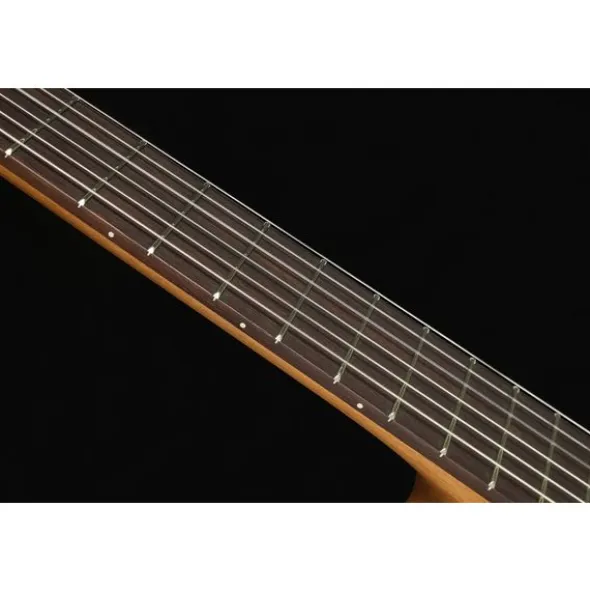 Höfner Meister Series HM65-F-CE