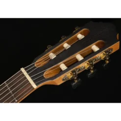 Höfner Meister Series HM65-F-CE
