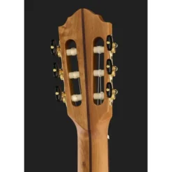 Höfner Meister Series HM65-F-CE