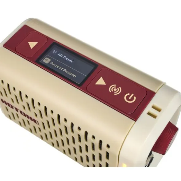 Hotone Pulze Mini