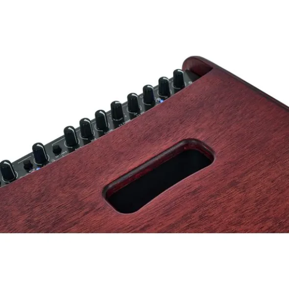 Hughes & Kettner era C Wood