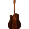 Ibanez AAD381CE-NT