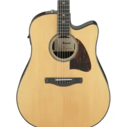 Ibanez AAD381CE-NT