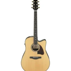 Ibanez AAD381CE-NT