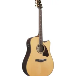 Ibanez AAD381CE-NT