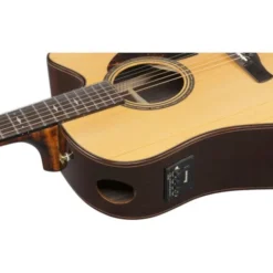 Ibanez AAD381CE-NT