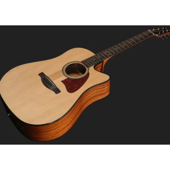 Ibanez AAD51CE-NT