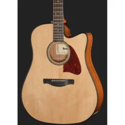 Ibanez AAD51CE-NT