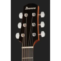 Ibanez AAD51CE-NT