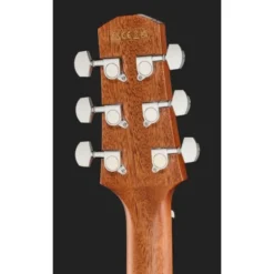 Ibanez AAD51CE-NT