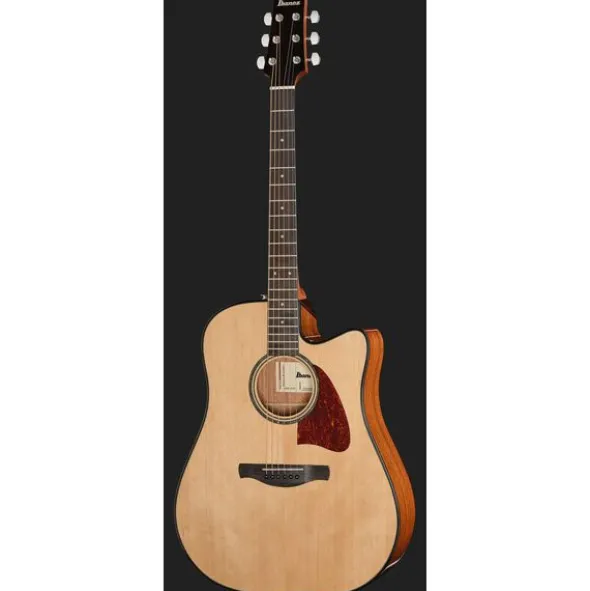Ibanez AAD51CE-NT