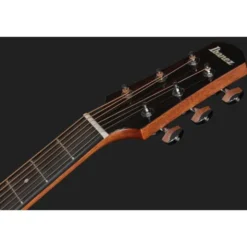 Ibanez AAD51CE-NT