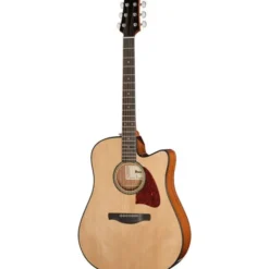 Ibanez AAD51CE-NT