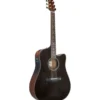 Ibanez AAD361CE-TKR