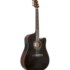 Ibanez AAD361CE-TKR