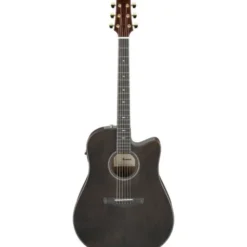 Ibanez AAD361CE-TKR