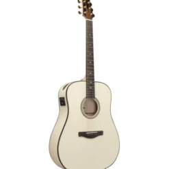 Ibanez AAD371E-ATW