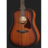 Ibanez AAD54E-OMH