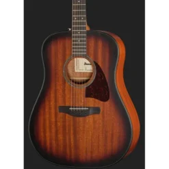 Ibanez AAD54E-OMH