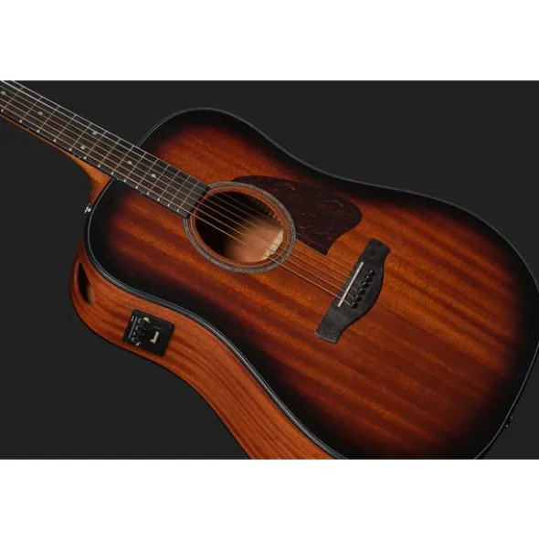 Ibanez AAD54E-OMH