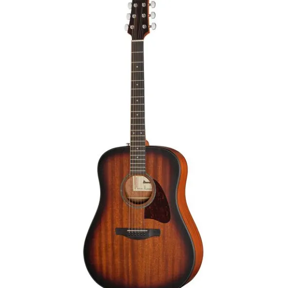 Ibanez AAD54E-OMH