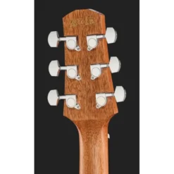 Ibanez AAD54E-OMH
