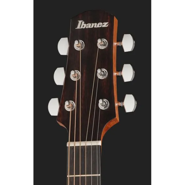 Ibanez AAD54E-OMH