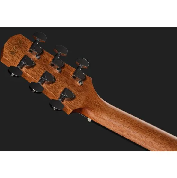 Ibanez AAD54E-OMH